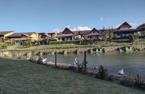 Novo Gravata Apartamento | Winterville709