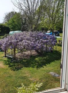 Chanteloup Cama Y Desayuno | Wisteria House