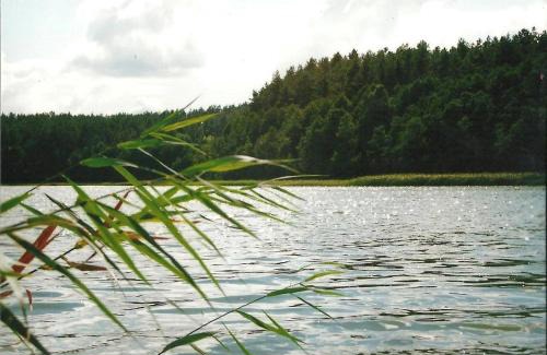 Stawiguda Apartamento | Wodamoja - apartamenty nad jeziorem