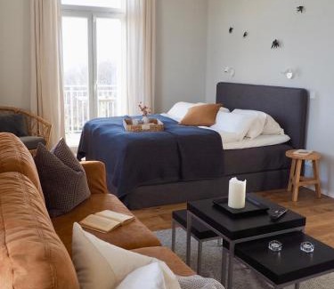 Niederloßnitz Apartamento | Wohlfühl-Apartment am Lösnitzgrund
