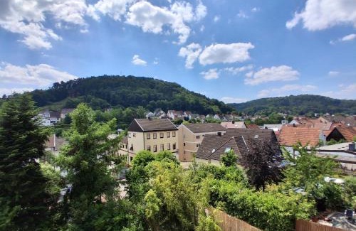 Rodalben Apartamento | Wohlfühl-Oase in der Villa "Schöne Aussicht"