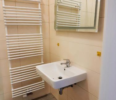 Mittelstadt Apartamento | Wohngut-City Apt. 1 Zi. 1 DB + 1 EZ 34 qm mit Parkplatz