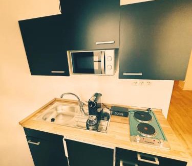 Mittelstadt Apartamento | Wohngut-City Apt. 1 Zi. 1 DB + 1 EZ 34 qm mit Parkplatz