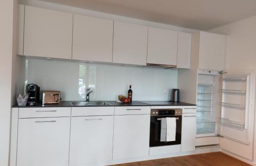 Subingen Apartamento | Wohnstation Princess Suite