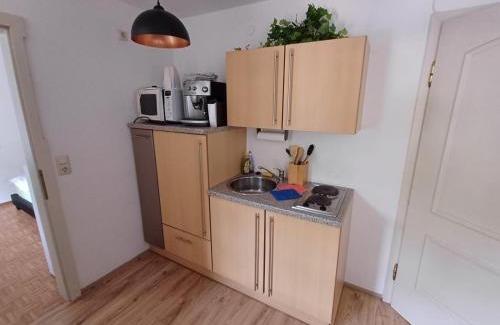 Reichraming Apartamento | Wohnung im Nationalpark Kalkalpen 1