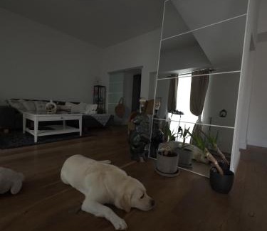 Weststadt Apartamento | Wohnung in Zentrum Bonn