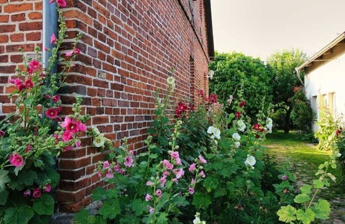 Stahlbrode Apartamento | Wohnung mit Wintergarten im Fischerhaus von 1877 - Ferienhaus Makrele von 1877