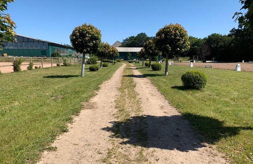 Gueby Apartamento | Wohnung Ostsee - Hof Eckhorst