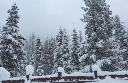 Keystone Casa | Wolf Rock Home 82 by SummitCove Lodging