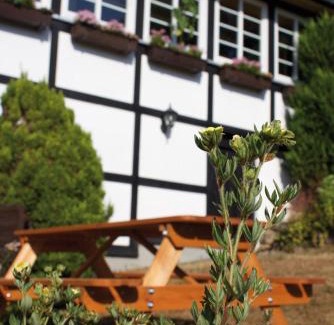 Wohnpark Ahrdorf Casa | Wolfs Ferienhaus - Natürlich Eifel