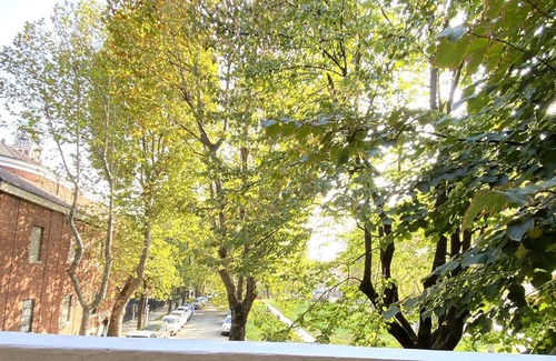 Cusano Milanino Apartamento | Wonderful apartment five stops from the center of Milan