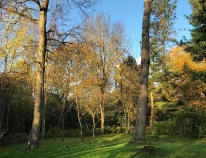 Raynes Park Casa | Wonderful Ensuite room In Wimbledon