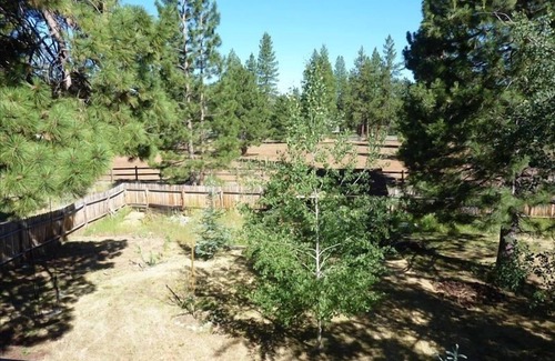 Truckee Cabina | Cabina de la montaña maravillosa en un gran precio! 9 plazas