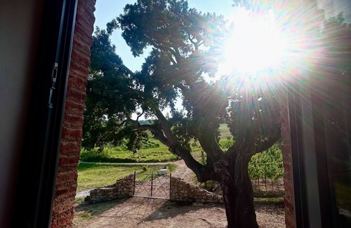 Crocina Villa | Maravillosa villa de lujo en Val d'Orcia, cerca de Montalcino