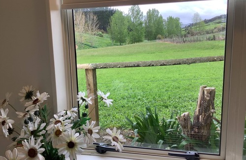 Waikino Cabaña | Wood Pigeon Cottage- Pet friendly 2kms from Hauraki Rail Trail-Free Breakfast
