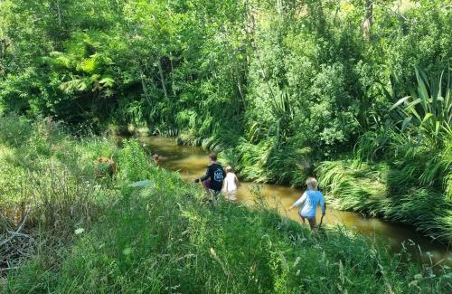 Waikino Apartamento | Wood Pigeon Cottage Pet Friendly Free Breakfast Hauraki Rail Trail 2kms