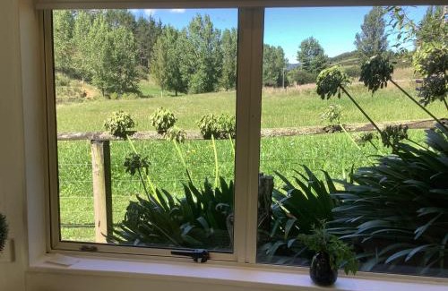 Waikino Apartamento | Wood Pigeon Cottage Pet Friendly Free Breakfast Hauraki Rail Trail 2kms