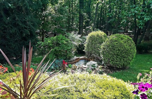 Arden Casa | Oasis arbolado a minutos del parque Biltmore, I26 y el French Broad