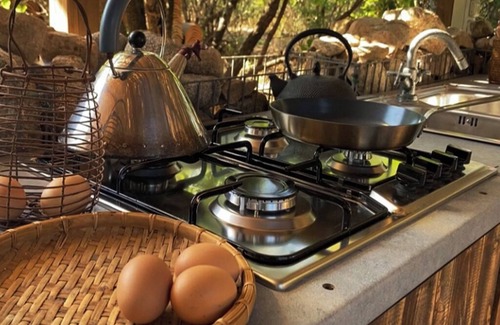 Sanalvo Cabaña | Wooden cottage in the woods a few kilometers from the sea Secret Sardinia