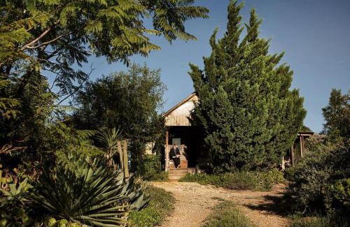 Barrydale Apartamento | Wooden Cabin Barrydale