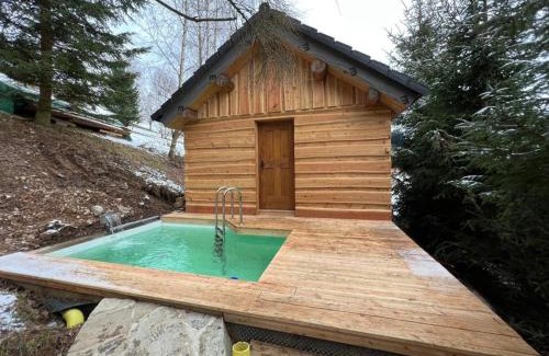 Vichova nad Jizerou Casa | Wooden house in the heart of the Giant Mountains with own hill