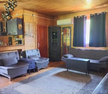 Certeju de Sus Casa | Wooden house
