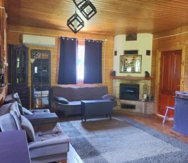 Certeju de Sus Casa | Wooden house