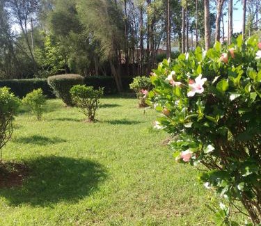 Nanyuki Casa | Wooden Knee Cottages Nanyuki