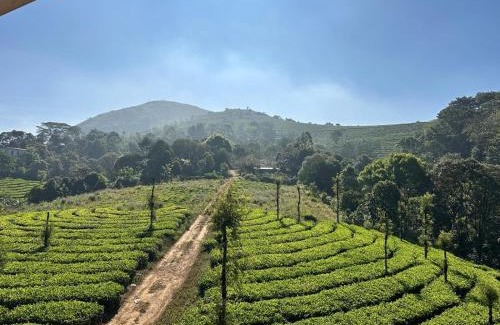 Udumbanchola Complejo | Woodgreens Ecopath Resort Calvary Mount Idukki