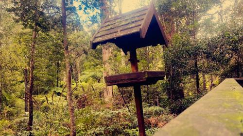 Narbethong Villa | Woodlands rainforest retreat