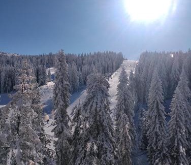 Kopaonik Apartamento | Woodside free parking