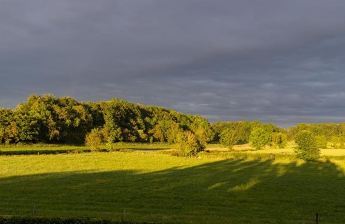 Kiltale Cama Y Desayuno | Woodview Lodge
