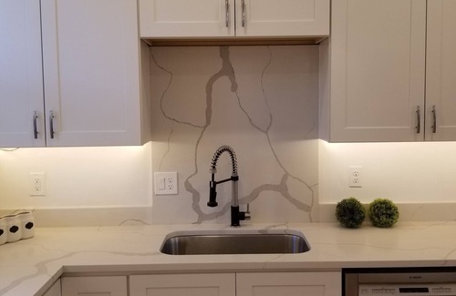 Royal Oak Casa | Woodward Grand! Tall ceiling new construction modern farmhouse design!