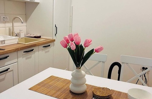 Vrnjacka Banja Apartamento | Woody apartment near center Vrnjačka Banja with free parking