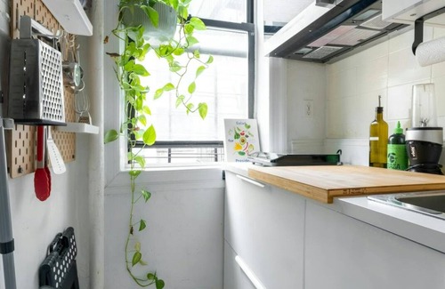 Prospect Lefferts Gardens Apartamento | Work and Play Near Prospect Park