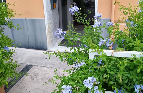 Pegli Apartamento | Work travel and more