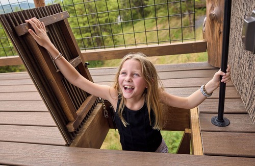 Sevierville Cabina | World's First Interactive Treehouse Experience! Air Fort One ✈️