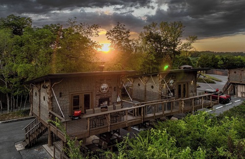 Sevierville Cabina | 🙉World's First Interactive Treehouse Resort! Tarzan & Jane! 🐘🦓