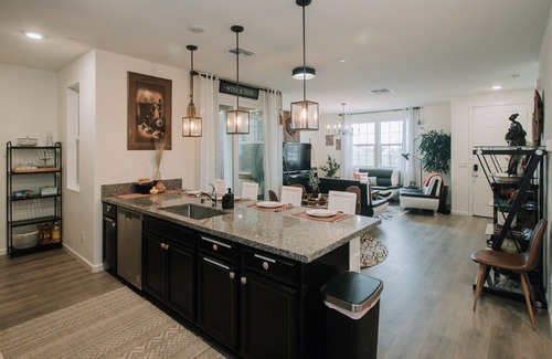 North Natomas Casa | Worldly ~ Whimsical ~ Wonderful