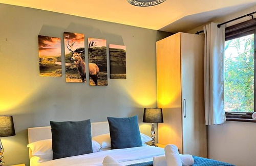 Llanybri Casa | Wren 21-Hot Tub-Woodland Lodges-Tenby-Camarthenshire