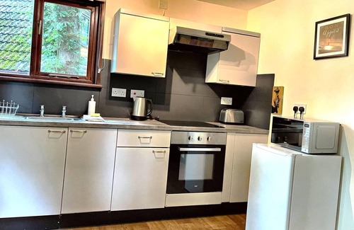 Llanybri Casa | Wren 21-Hot Tub-Woodland Lodges-Tenby-Camarthenshire