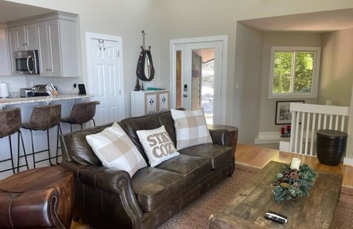 Nellysford Cabina | Wren Time, Wintergreen Mountain Retreat with Hot Tub