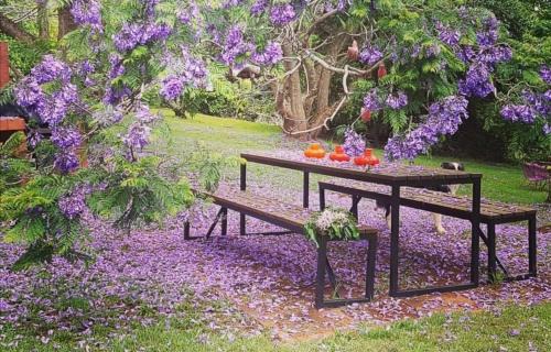 Beechmont Cama Y Desayuno | Wyndover Mountain Retreat