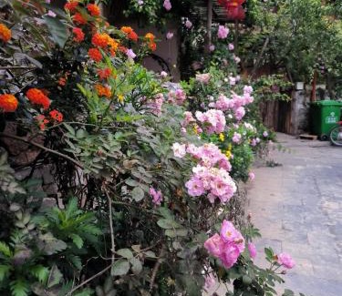 Meo Vac Casa | Xúa Vừ Homestay