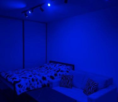 Zvezdara Apartamento | Y apartman Zvezdara