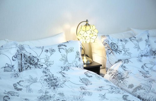 Ikebukuro Villa | Y's INN 池袋西 029T