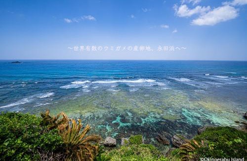 Yakushima Casa | Yakushima Umigame house 屋久島 海がめの里 蘭亭