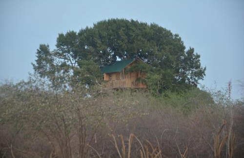 Palatupana Otro | Yala Dream Park