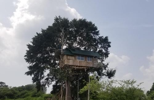 Palatupana Otro | Yala Dream Park
