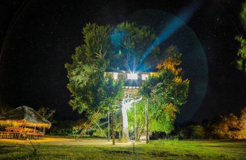 Palatupana Otro | Yala Dream Park